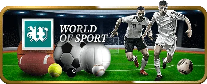 Biểu đồ và phân tích hiệu suất trang web của euro88 win, thể hiện việc tối ưu hóa qua cookie